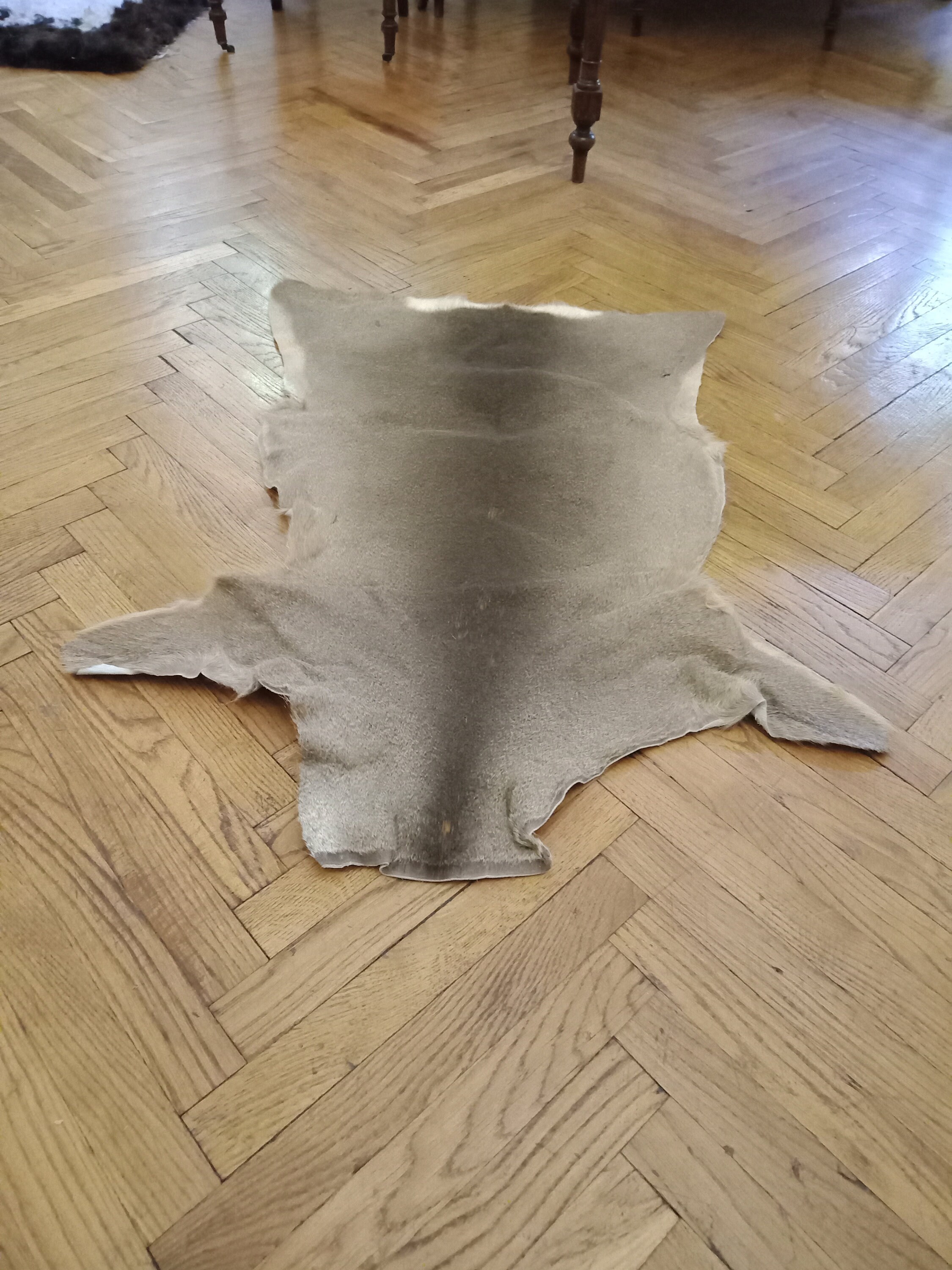 Large Roe Buck Deerskin Hide Area Rug Luxury Living Room Etsy