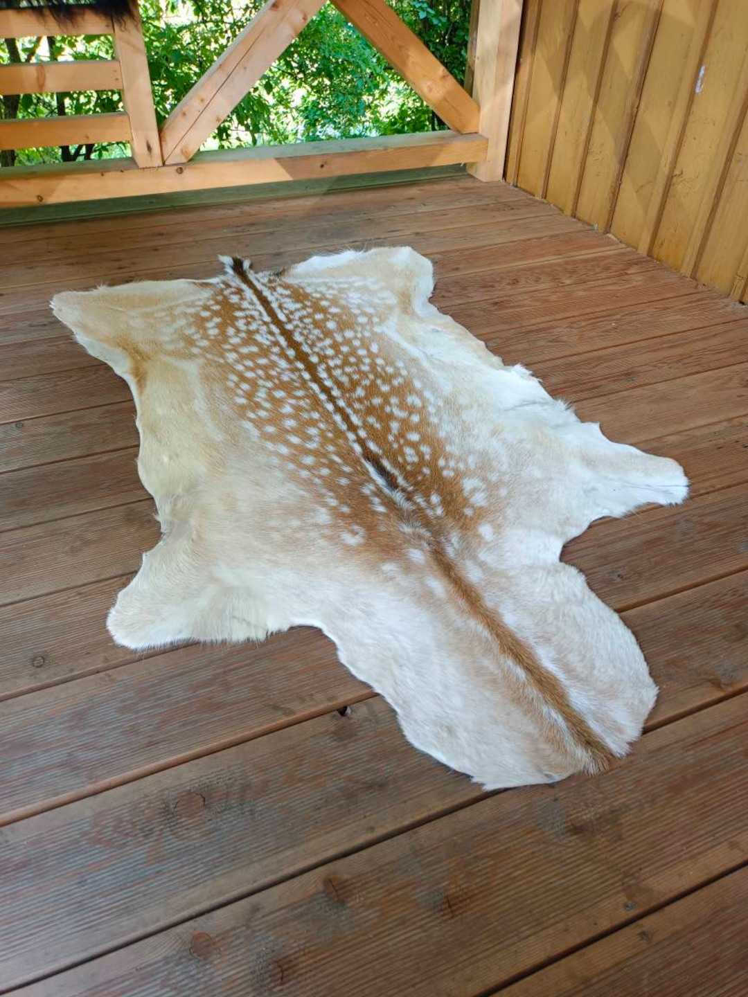 Large Fallow Deer Rug Skin Hide Fur Pelt Hunting House Home Etsy