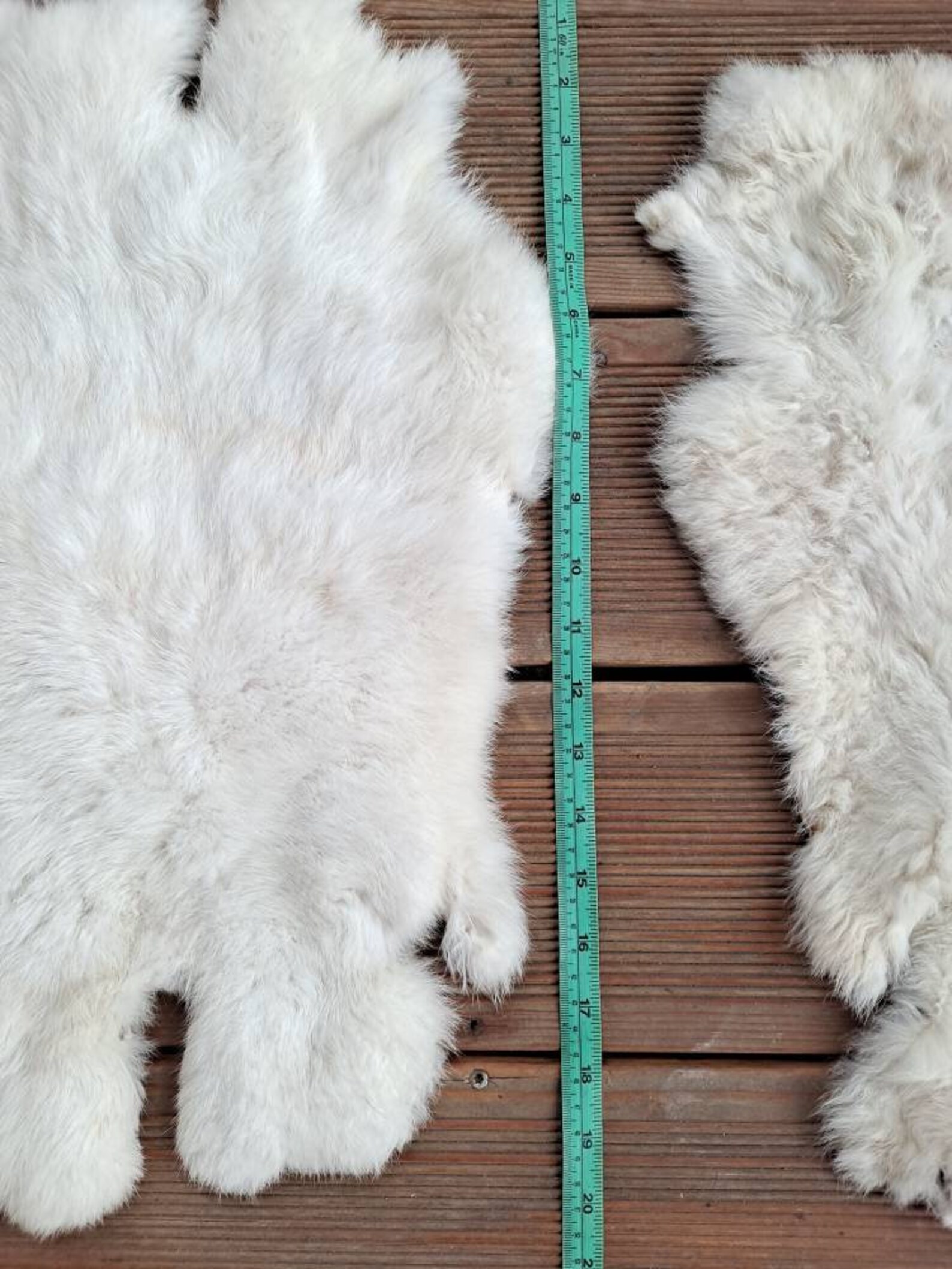 Set of 2 Quality Soft Rabbit Hide Skin Pelt Taxidermy Wall Etsy