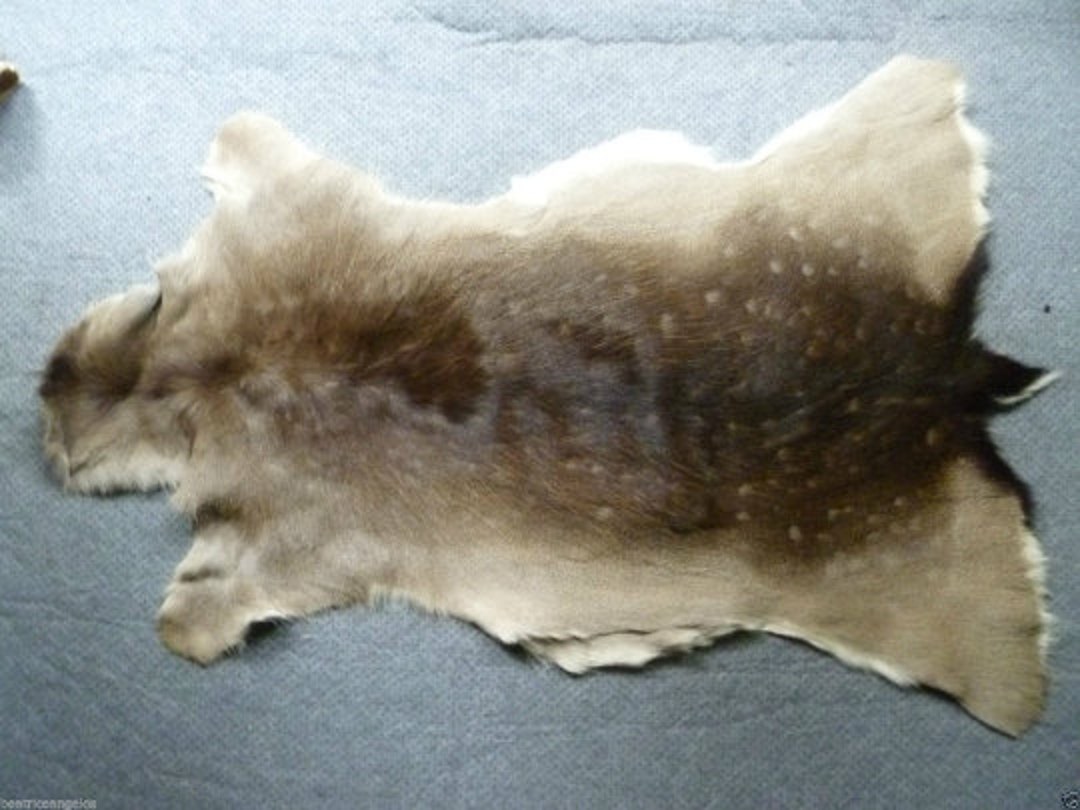 Set of 3 Fallow Deerskin Hide Area Rug Fur dama Dama Home Etsy