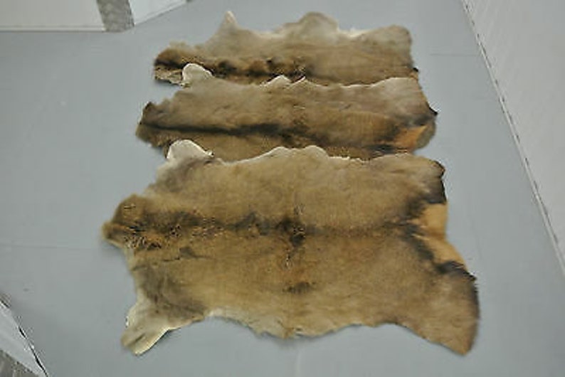 Set of 3 Red Deer Skin Hide cervus Elaphus Stag Fur Pelt Rug Etsy