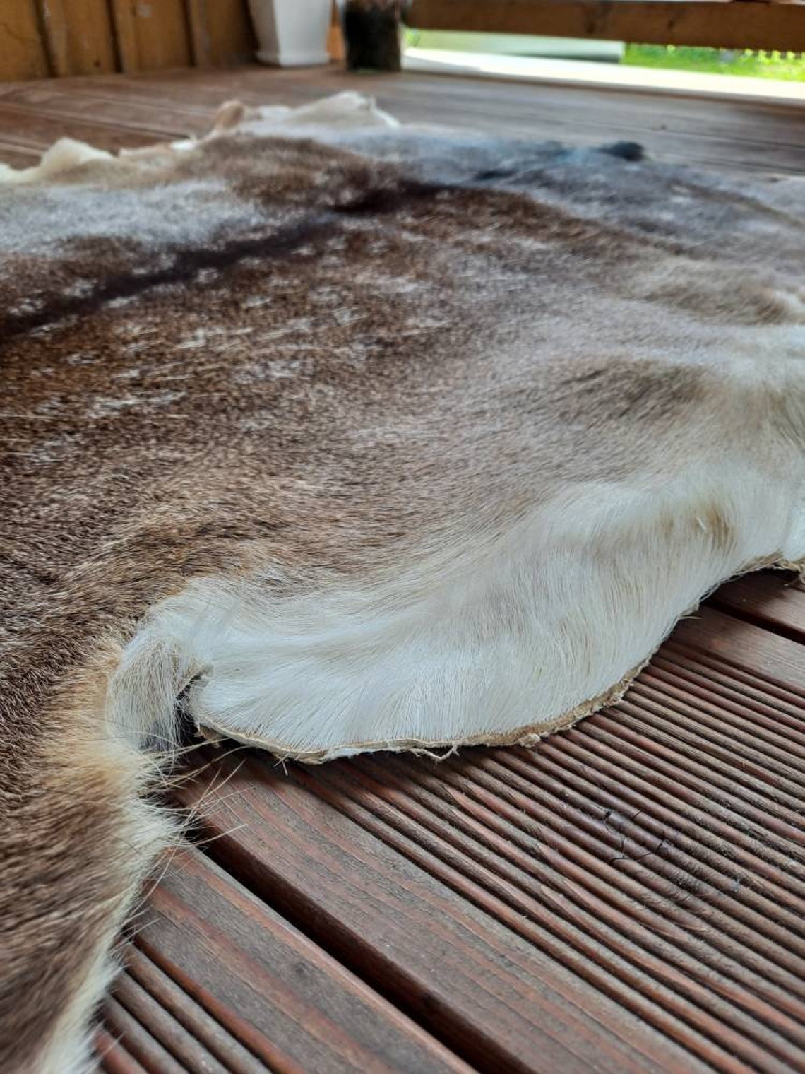 Large Fallow Deer Skin Hide Rug Fur Dama Dama Living Room Etsy