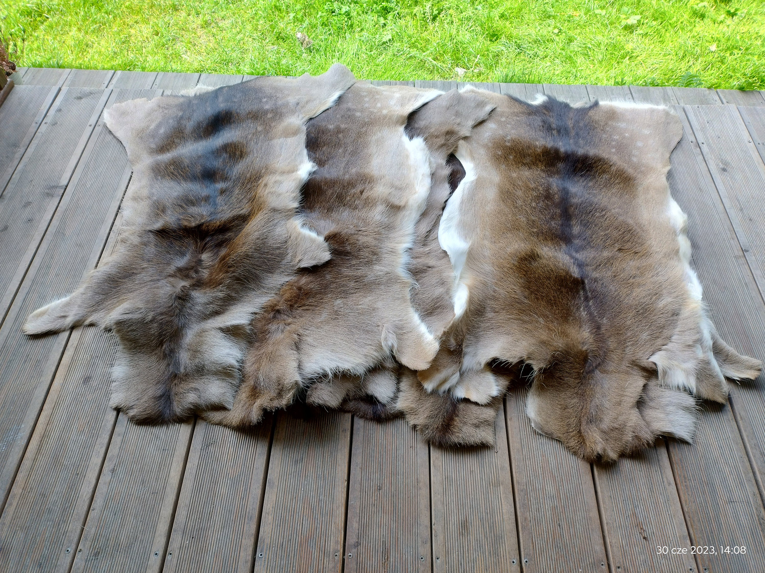 Deer Hide Rug 