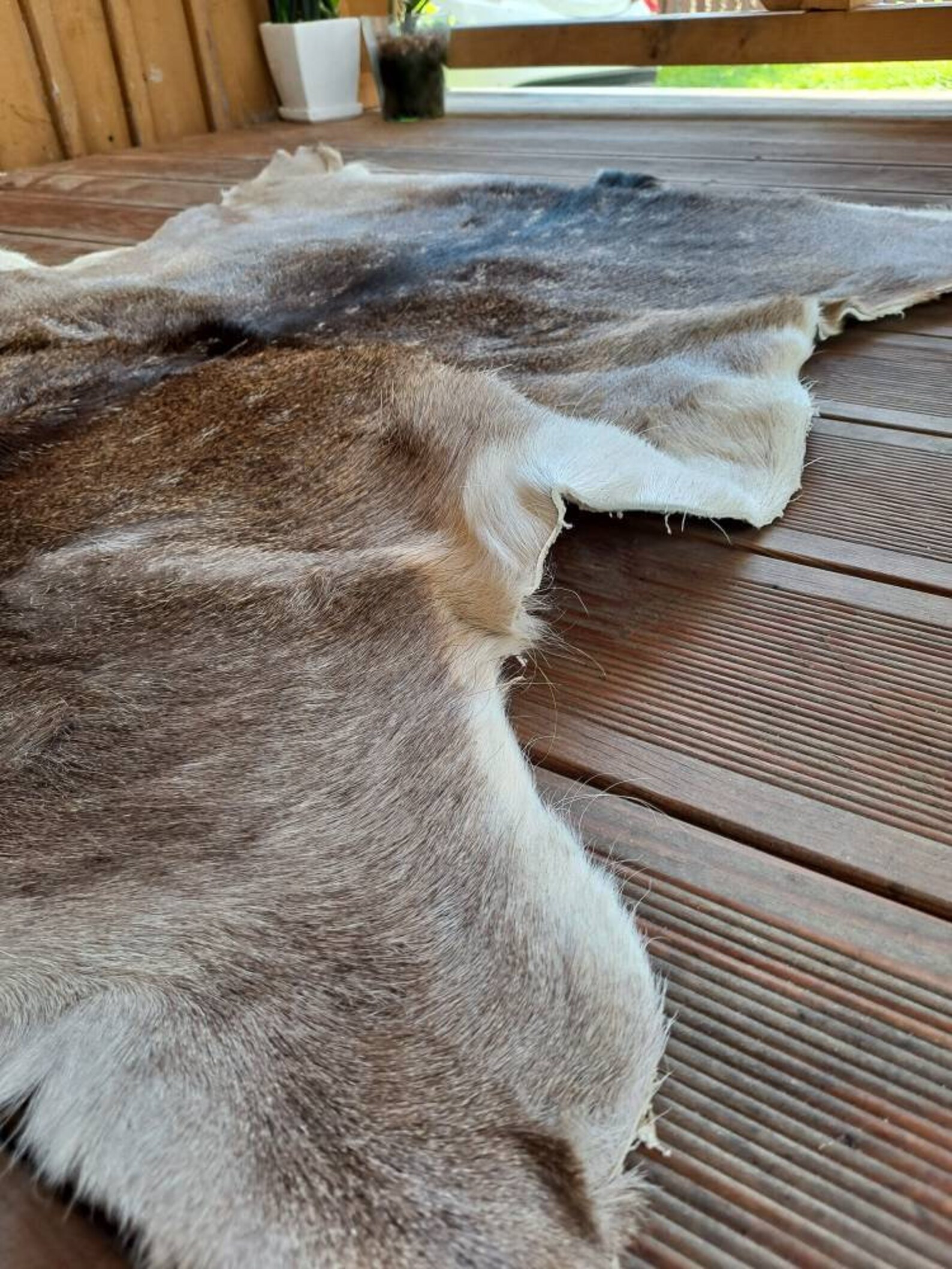 Large Fallow Deer Skin Hide Rug Fur dama Dama Living Room Etsy