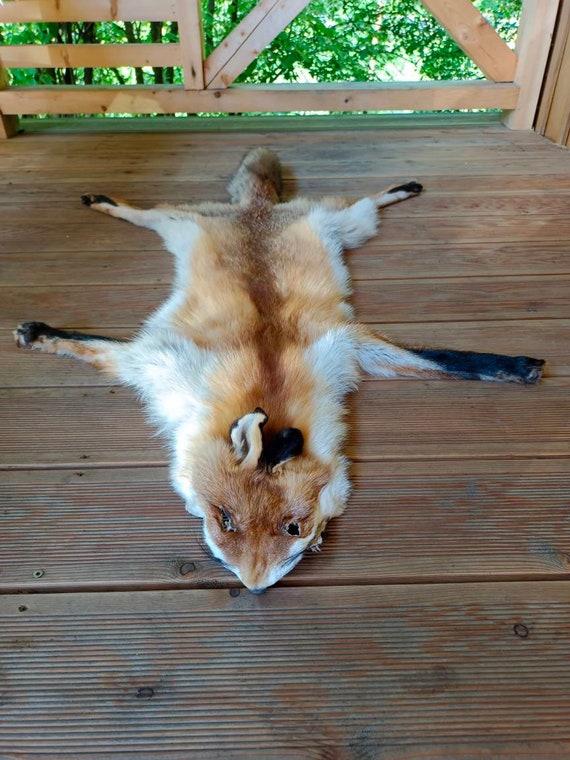 Fox pelt sale