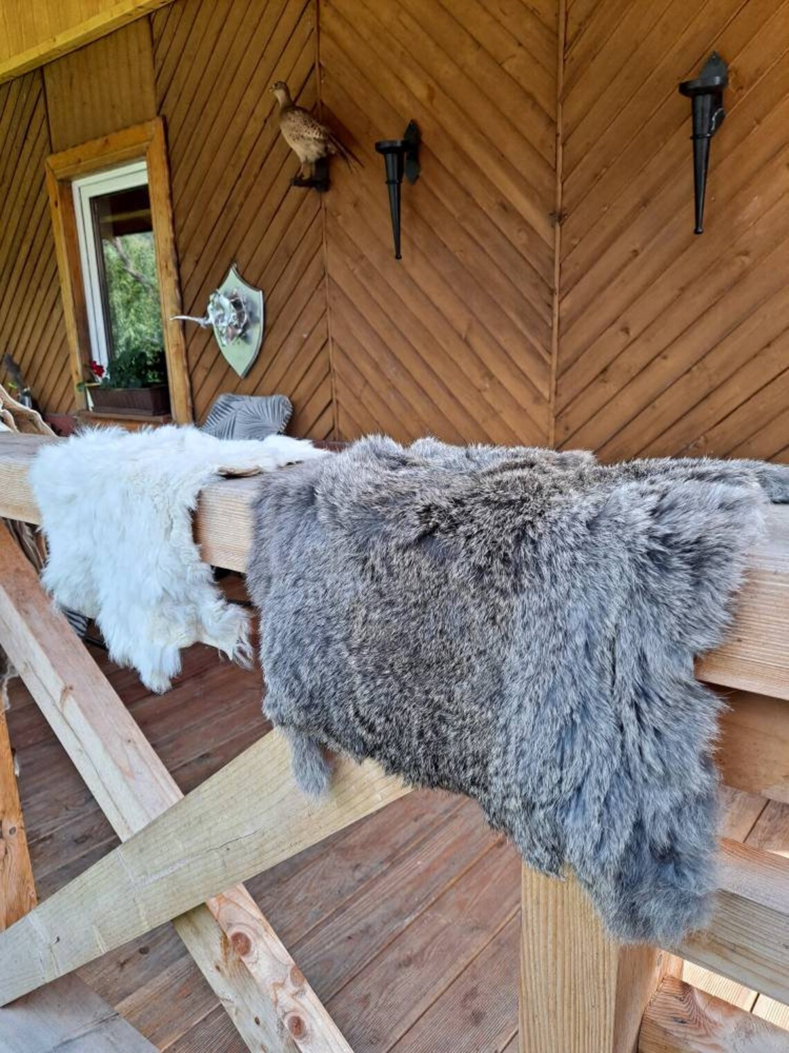 Set of 2 quality soft rabbit hide skin pelt taxidermy wall Etsy