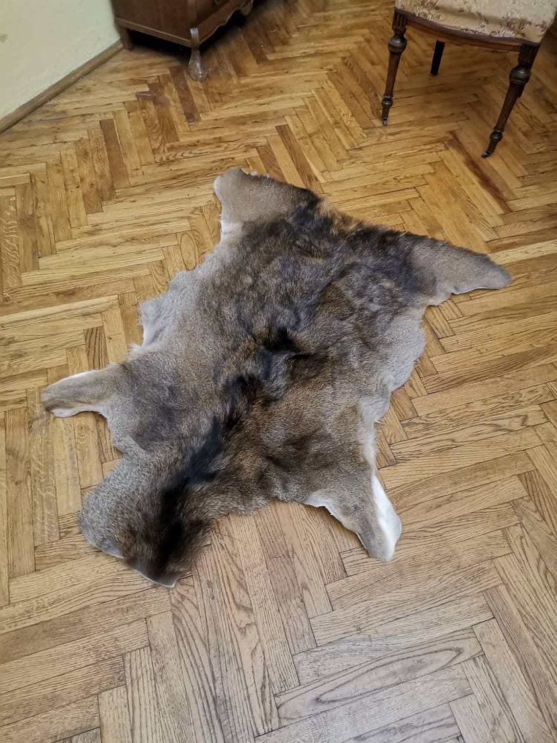 Red deer skin hide rug winter coat fur floor home decor pets Etsy