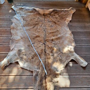 Red Stag Hide 