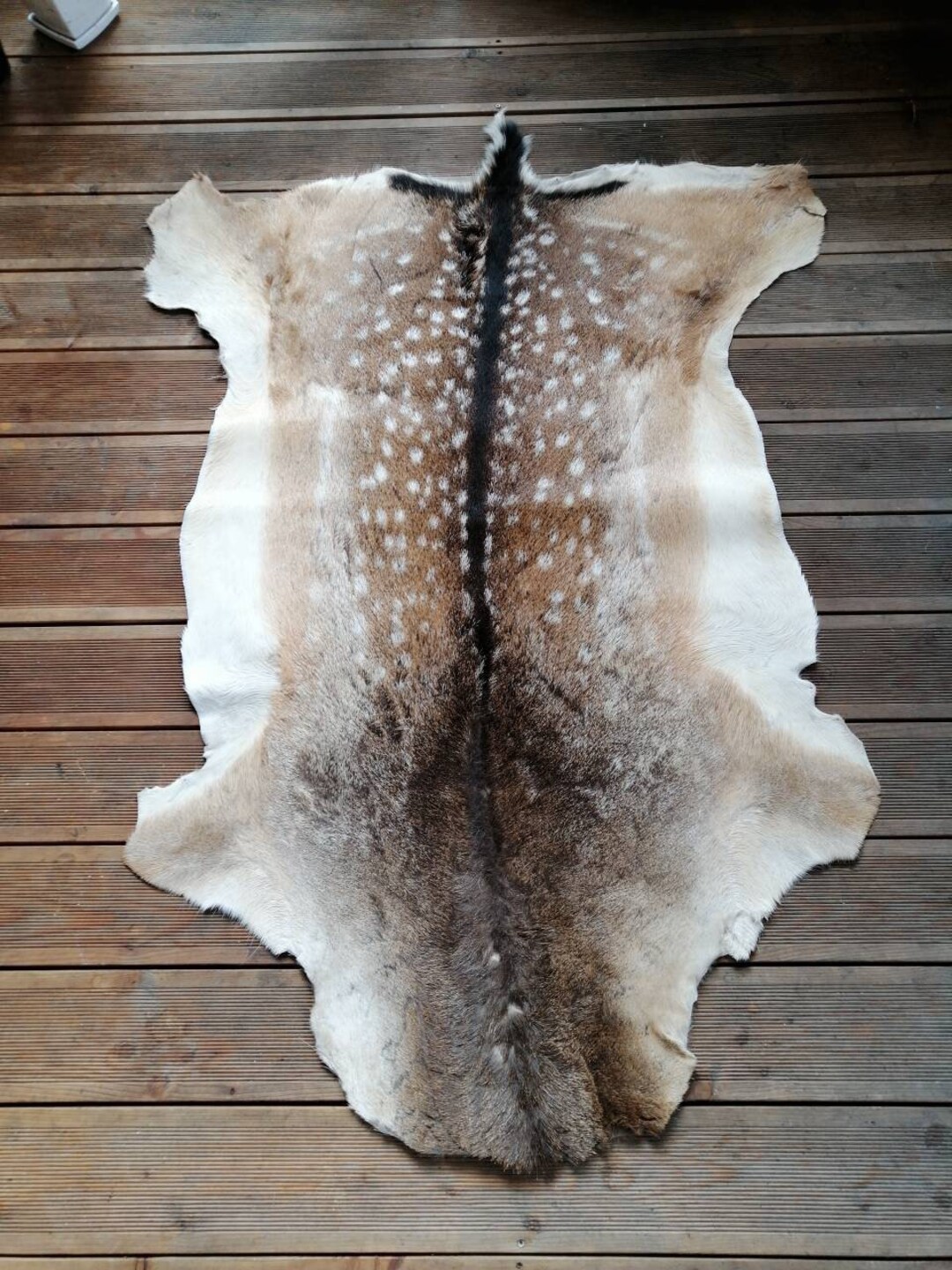 Large Fallow Deer Skin Hide Rug Fur dama Dama Living Room Hallway