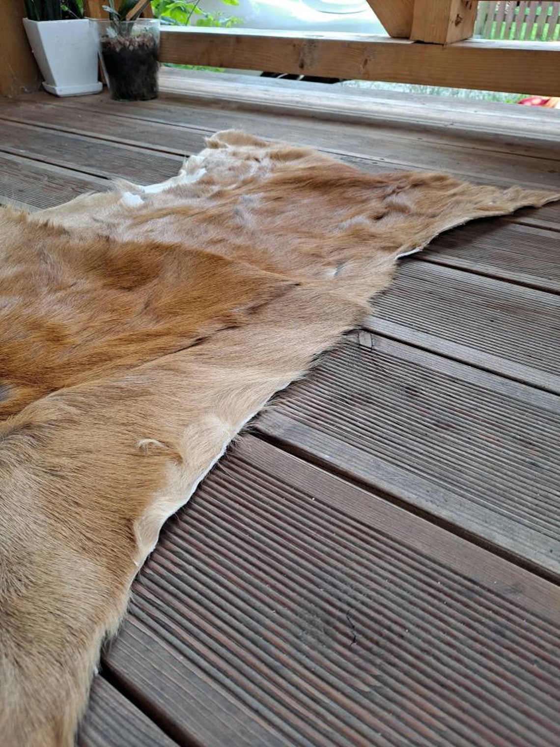 Roe deer skin hide rug summer coat fur floor home decor pets Etsy