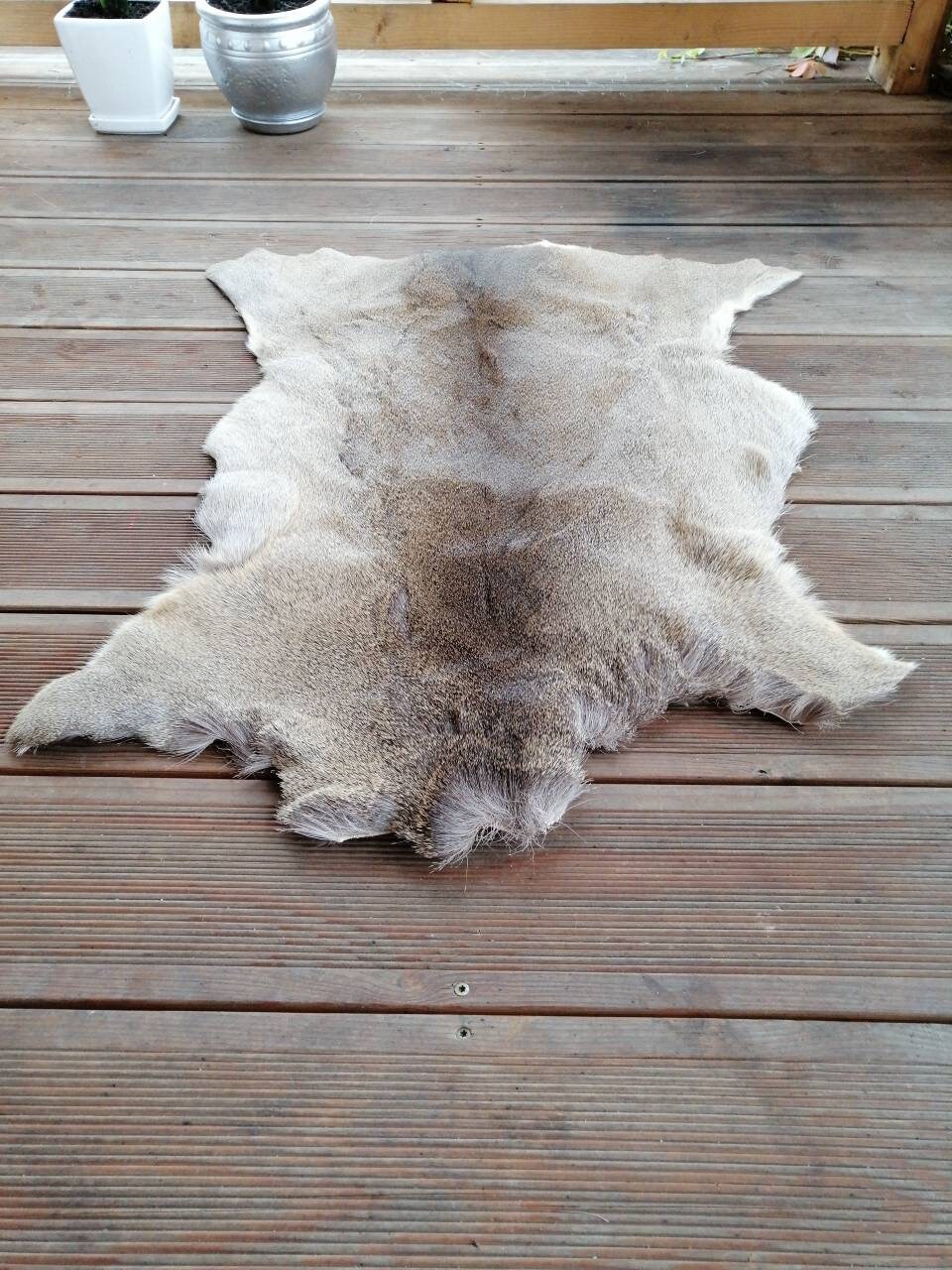 Roe Deer Skin Hide Rug Winter Long Hair Silverish Coat Fur Etsy