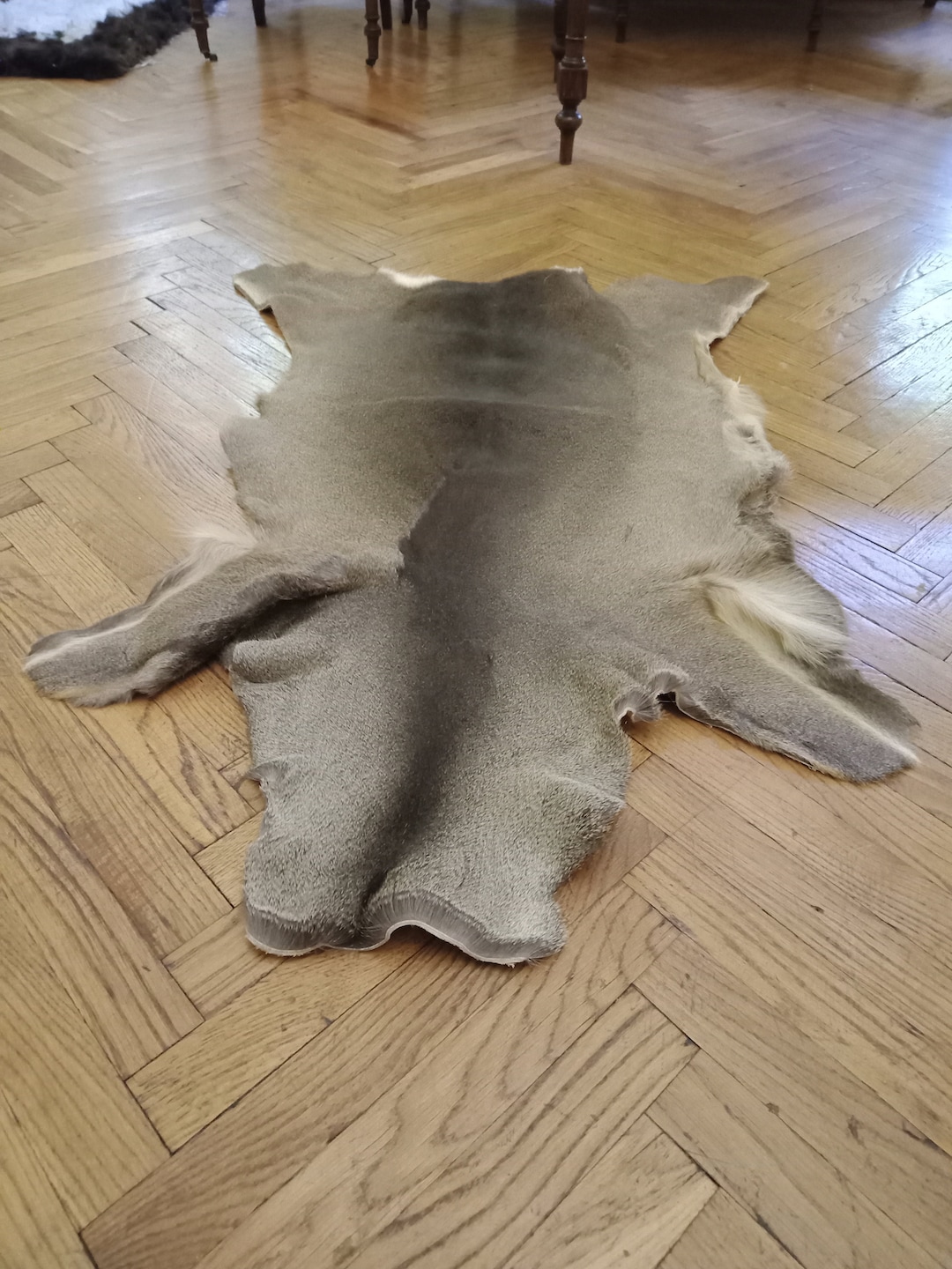 Large Roe Buck Deerskin Hide Area Rug Luxury Living Room Etsy