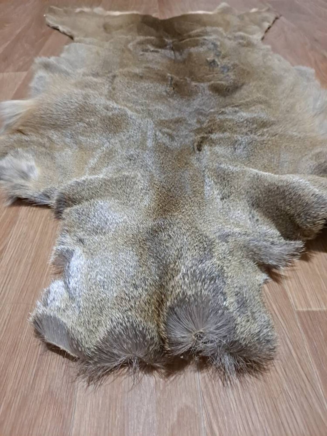 Roe Deer Skin Hide Rug Winter Long Hair Silverish Coat Fur Etsy
