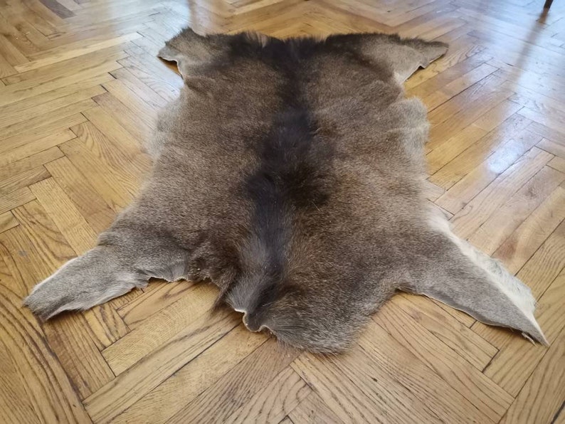 Red Deer Skin Hide Cervus Elaphus Stag Fur Pelt Rug Etsy