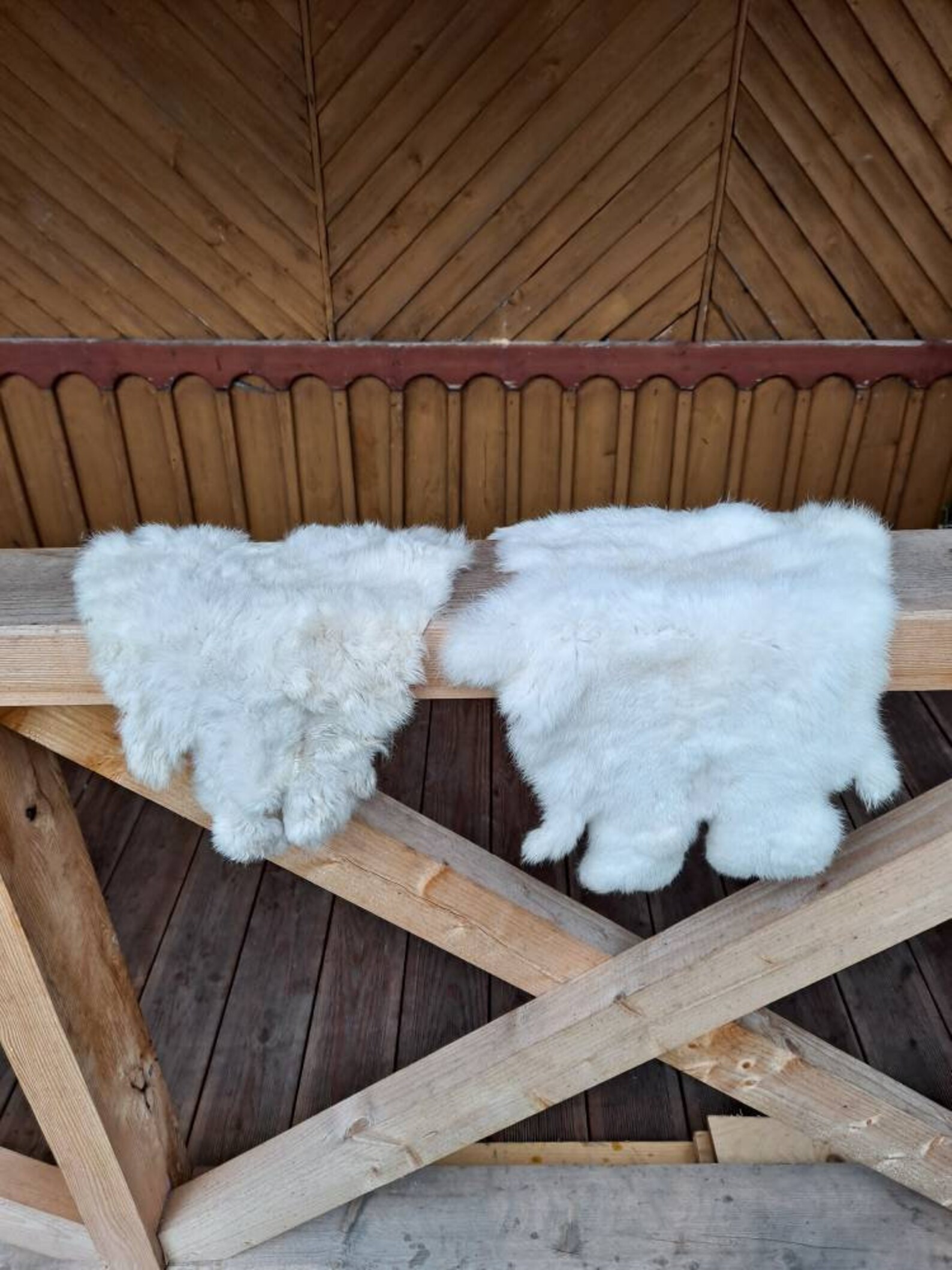 Set of 2 Quality Soft Rabbit Hide Skin Pelt Taxidermy Wall Etsy