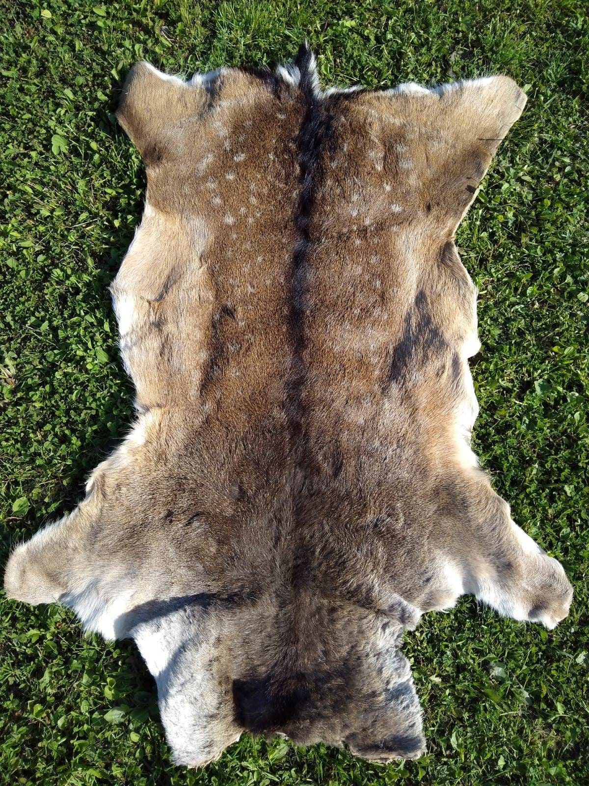 Fallow Deer Skin Hide Area Rug Fur Dama Dama Living Room Etsy