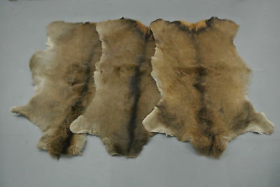 Set of 3 Red Deer Skin Hide cervus Elaphus Stag Fur Pelt Rug Taxidermy