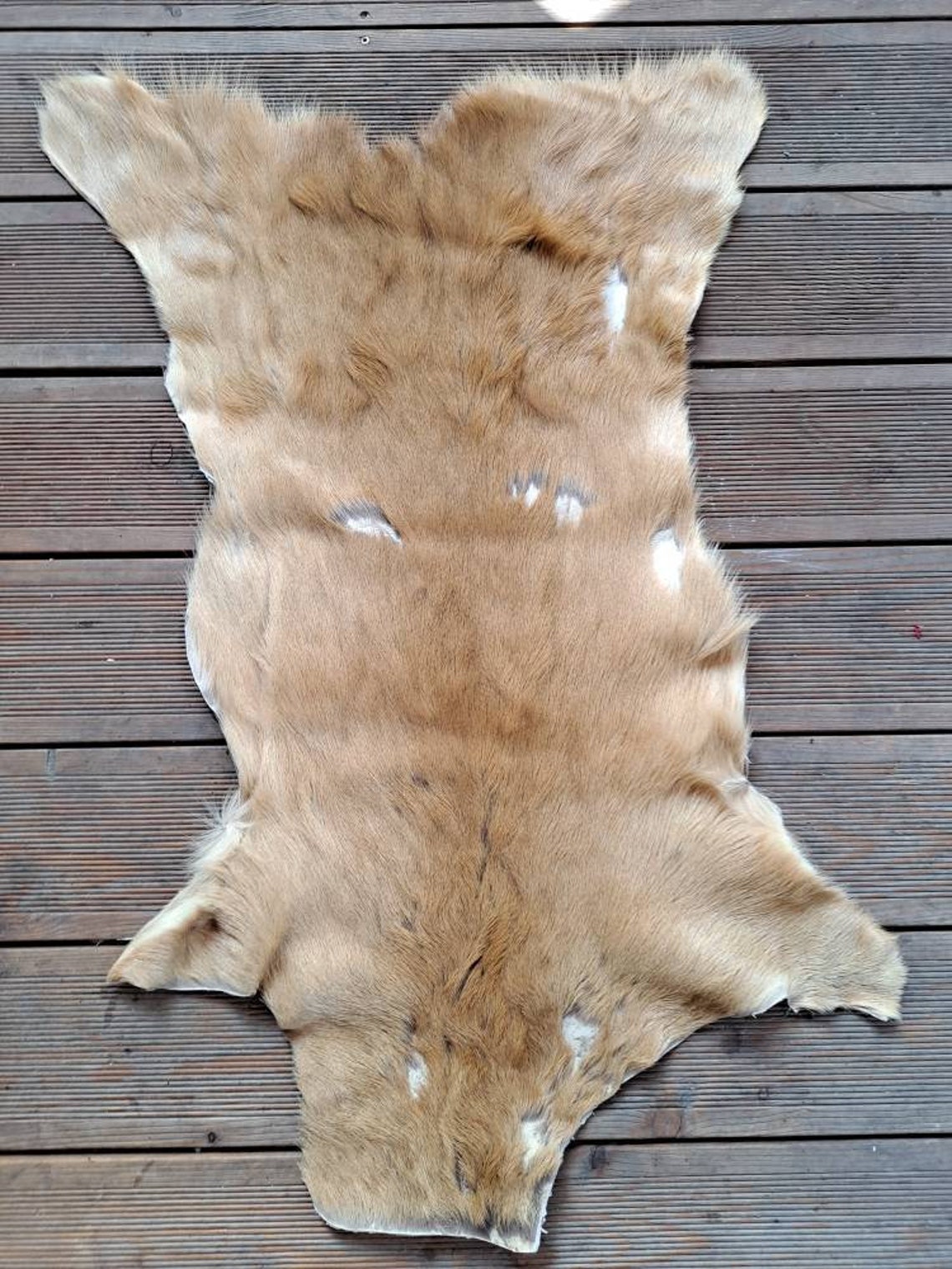 Roe Deer Skin Hide Rug Summer Coat Fur Floor Home Decor Pets Etsy UK