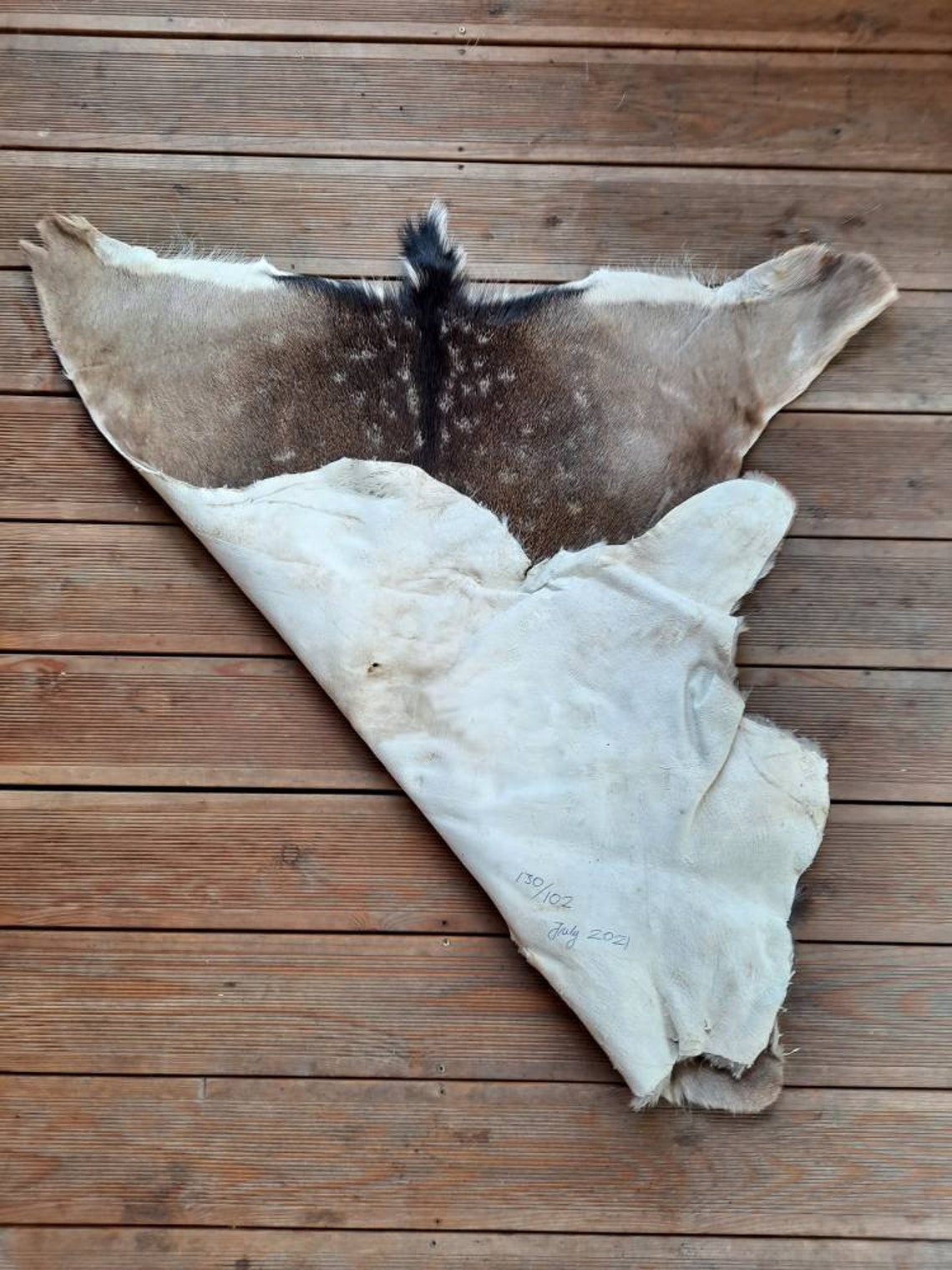Large Fallow Deer Skin Hide Rug Fur dama Dama Living Room Etsy