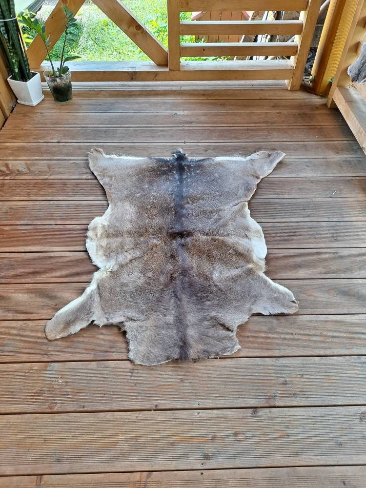 Large Fallow Deer Skin Hide Rug Fur dama Dama Living Room Etsy