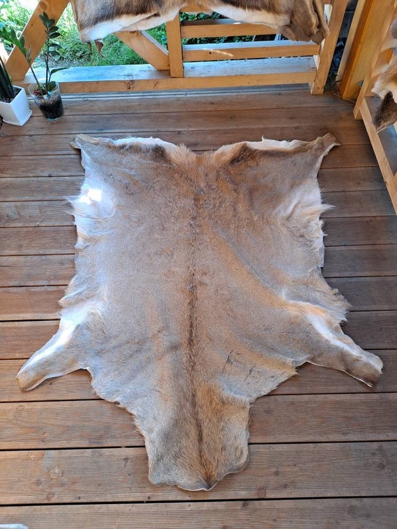 Large Giant Red Deer Skin Hide cervus Elaphus Stag Fur Pelt Rug