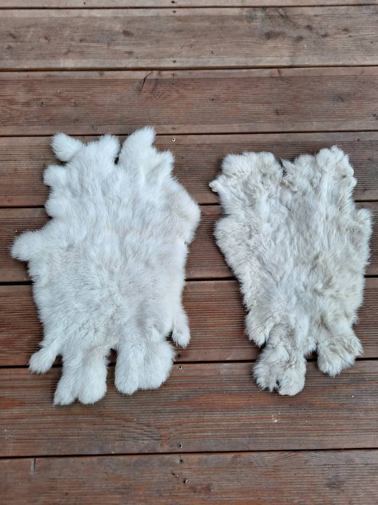 Set of 2 Quality Soft Rabbit Hide Skin Pelt Taxidermy Wall Etsy