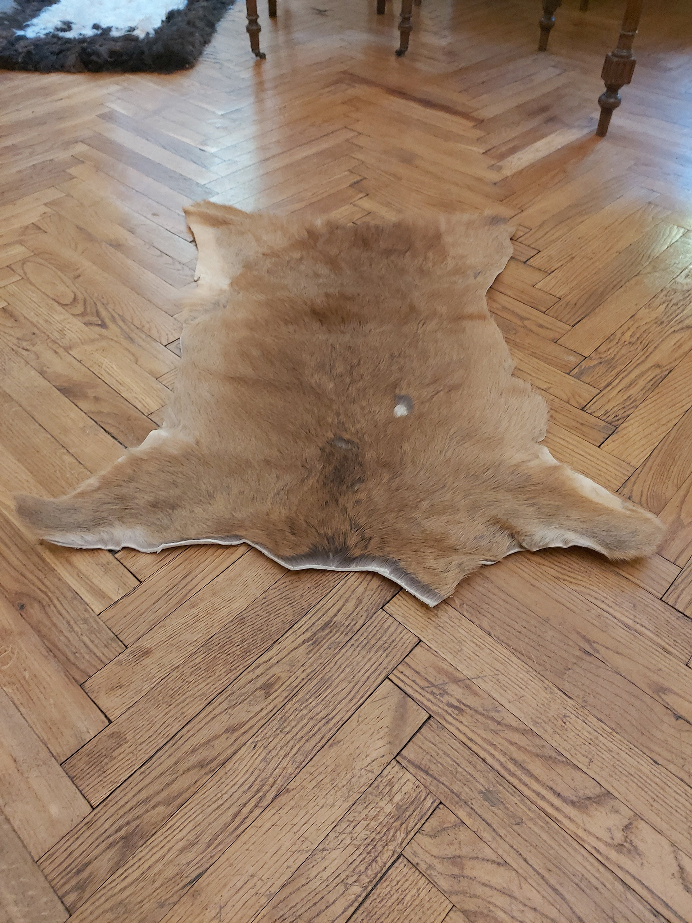 Deer sale skin rug