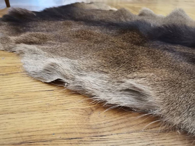 Red Deer Skin Hide cervus Elaphus Stag Fur Pelt Rug Etsy