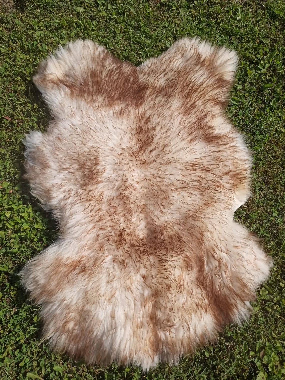 Quality sheepskin rug pelt hide fur. Lamb wool soft fluffy Etsy