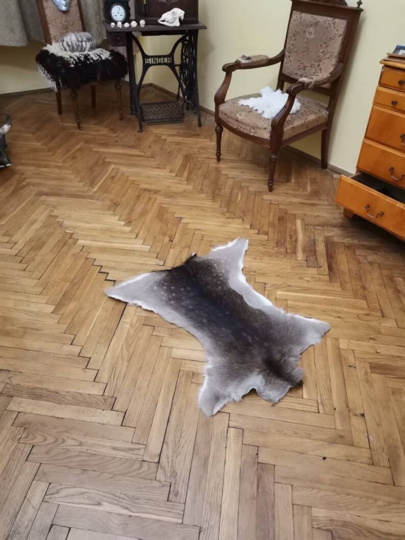 Fallow Deer Skin Hide Area Rug Fur dama Dama Living Room Etsy
