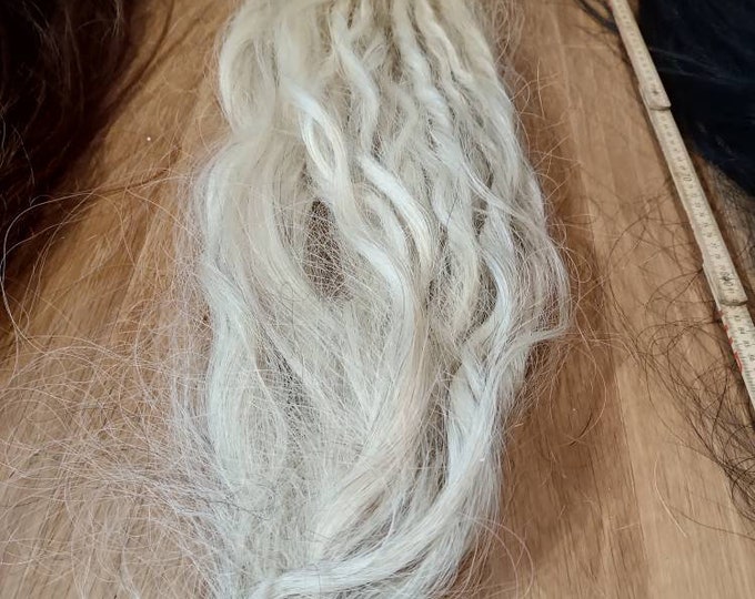 Horse Tail,african Horse Tail, Nigerian Horse Tail,horse Tail for