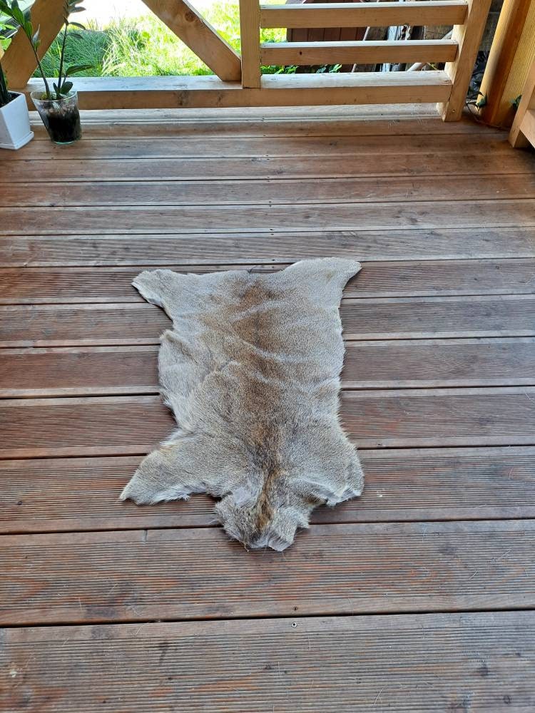 Large Giant Red Deer Skin Hide cervus Elaphus Stag Fur Pelt Rug Taxidermy  Home Floor Decor Design Carpet or Wall Hanging -  Denmark