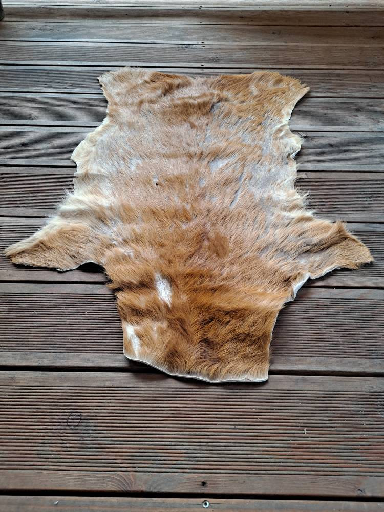 Roe deer skin hide rug summer coat fur floor home decor pets Etsy