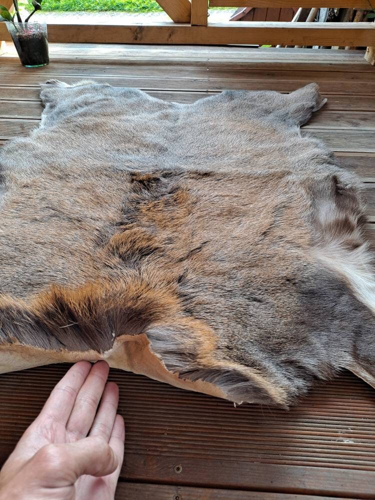 Large Natural Red Deer Skin Hide Pelt Area Rug Carpet cervus Elaphus  Hunting Luxury Home Decoration Fireplace Ornament Soft Warm Pets Bed 
