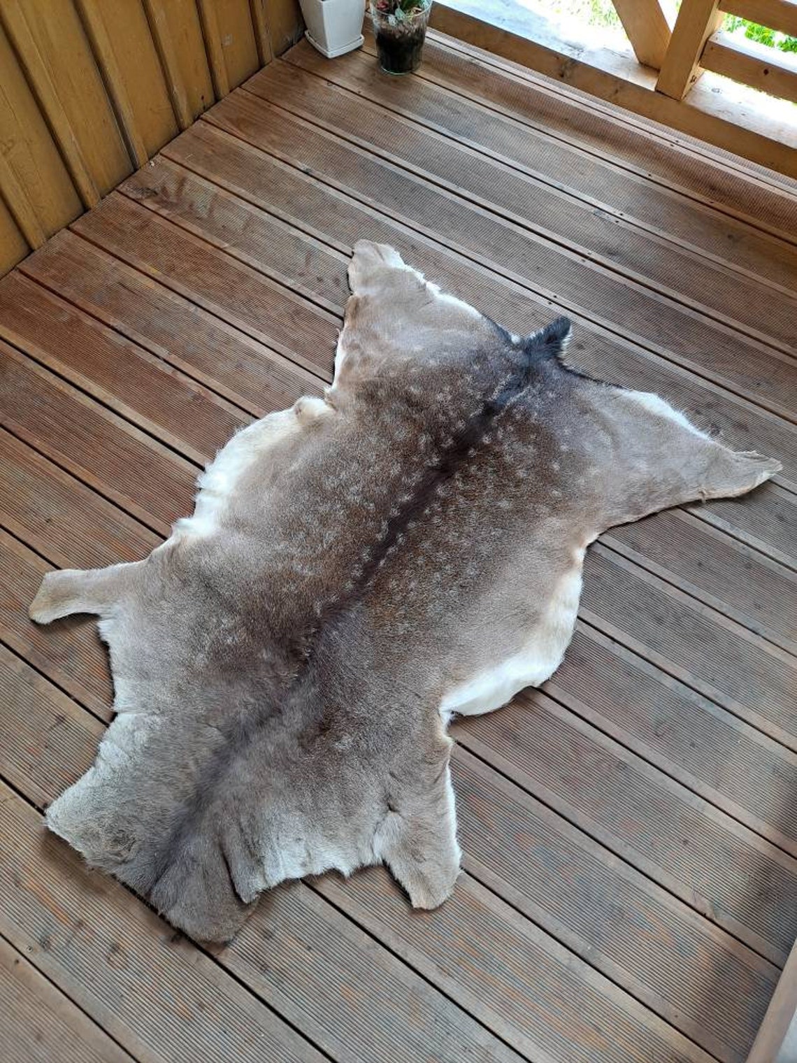 Large Fallow Deer Skin Hide Rug Fur Dama Dama Living Room Etsy