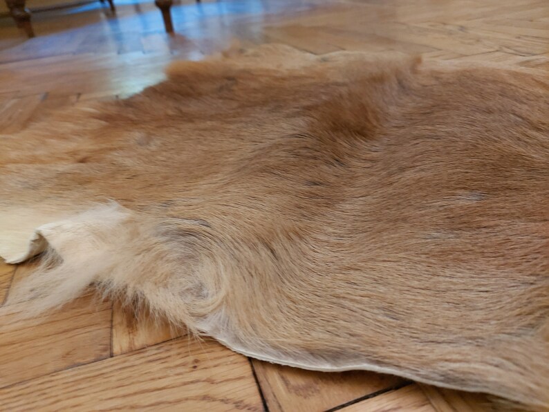 Roe Deer Skin Hide Rug Summer Coat Fur Floor Home Decor Pets Etsy Canada