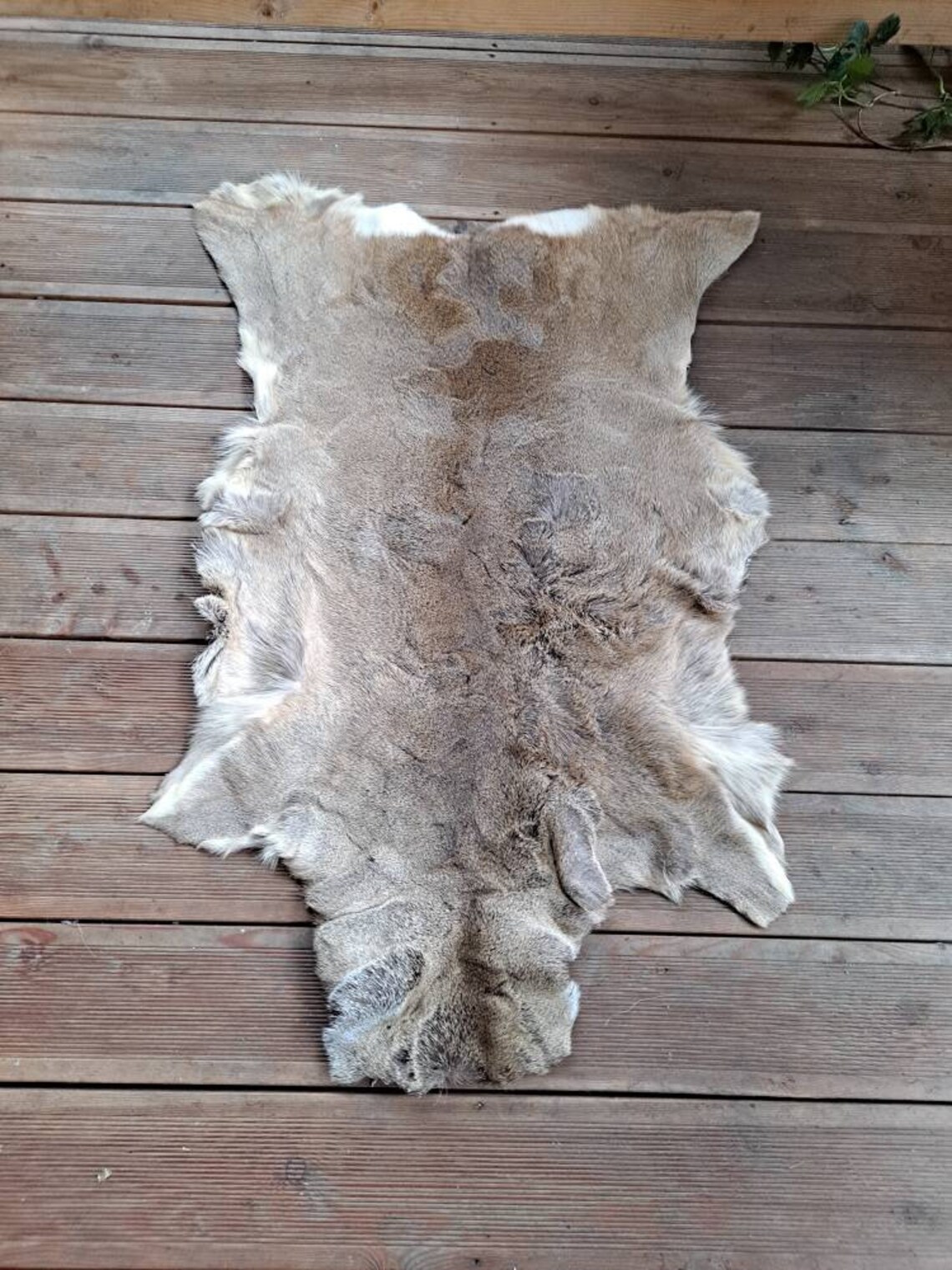 Roe deer skin hide rug winter long hair silverish coat fur Etsy