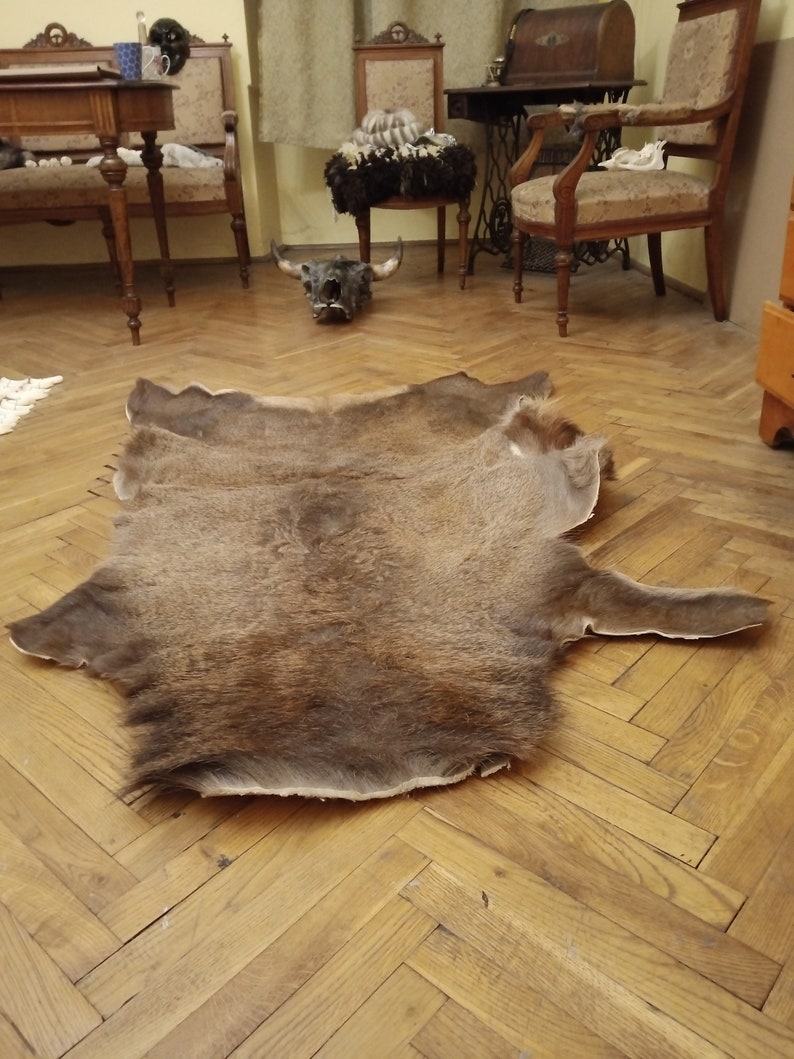 Large natural red deer skin hide pelt area rug carpet Cervus Etsy