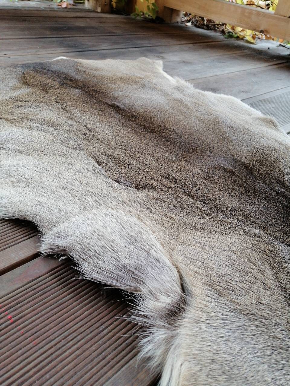 Roe Deer Skin Hide Rug Winter Long Hair Silverish Coat Fur Etsy