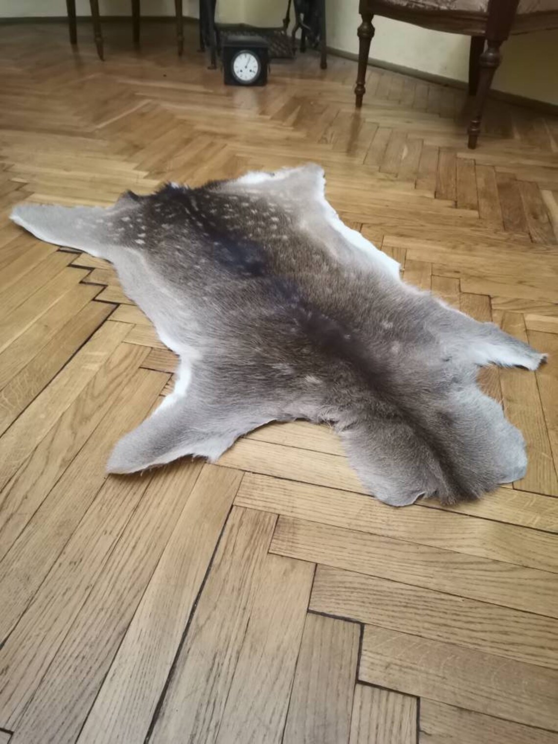 Fallow Deer Skin Hide Area Rug Fur dama Dama Living Room Etsy