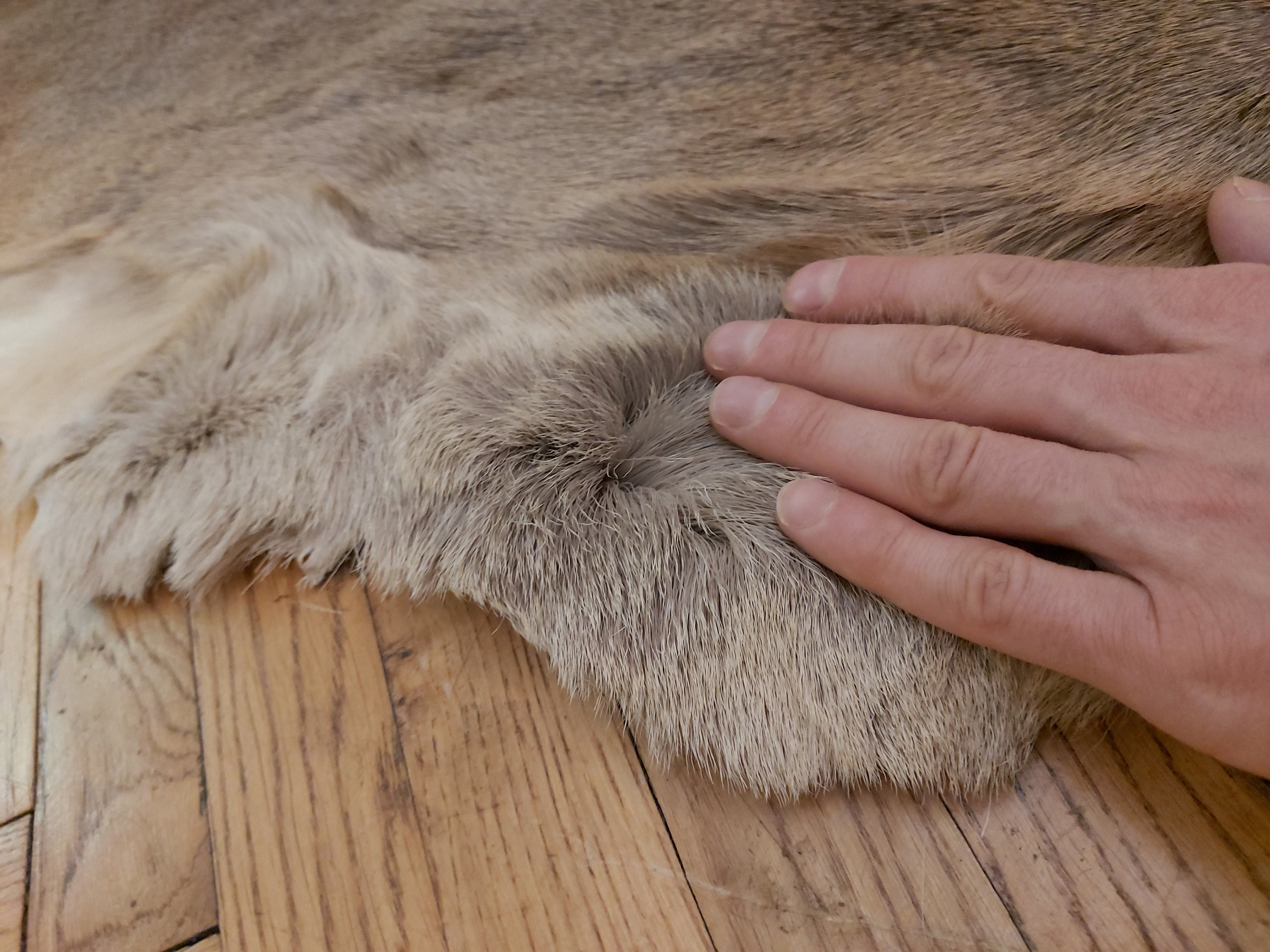 Set of 3 large roe deer skin hide area rug luxury living room Etsy