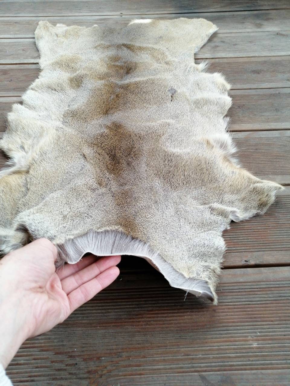 Roe Deer Skin Hide Rug Winter Long Hair Silverish Coat Fur Etsy