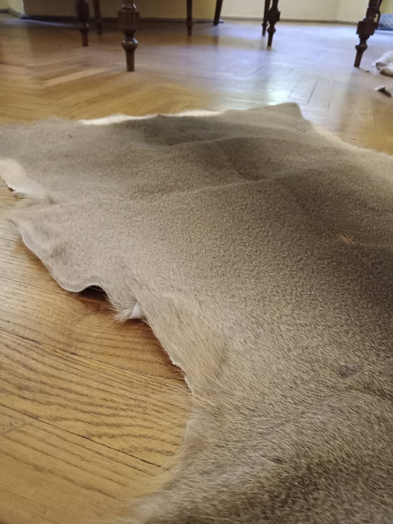 Large Roe Buck Deerskin Hide Area Rug Luxury Living Room Etsy