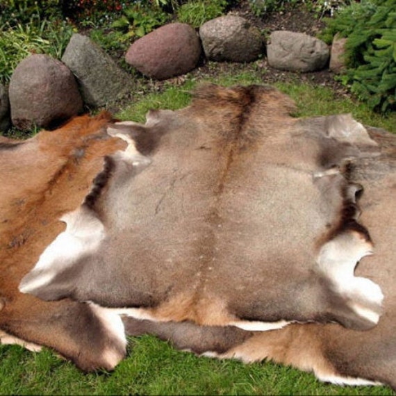 Large Giant Red Deer Skin Hide cervus Elaphus Stag Fur Pelt Rug Taxidermy  Home Floor Decor Design Carpet or Wall Hanging -  Israel