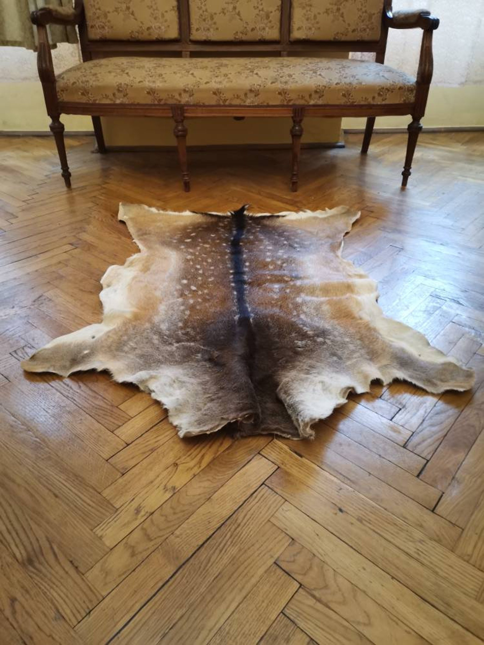 Giant Fallow Deerskin Hide Area Rug Fur dama Dama Home Decor Etsy