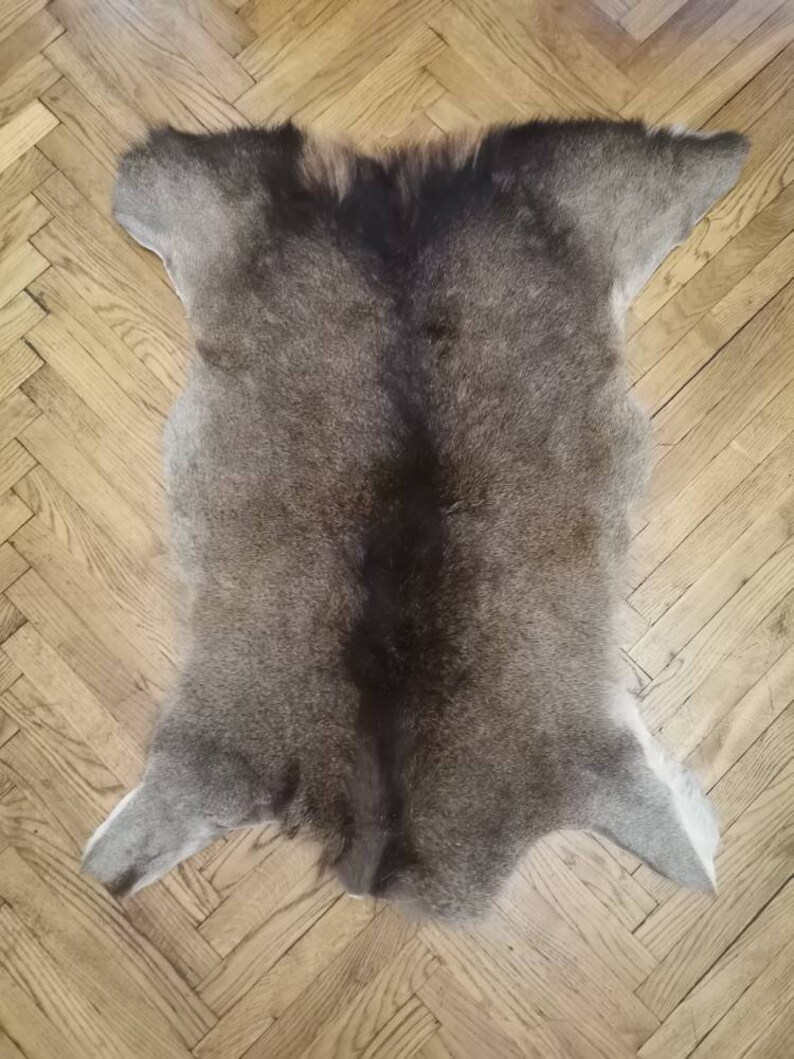 Red Deer Skin Hide cervus Elaphus Stag Fur Pelt Rug Etsy