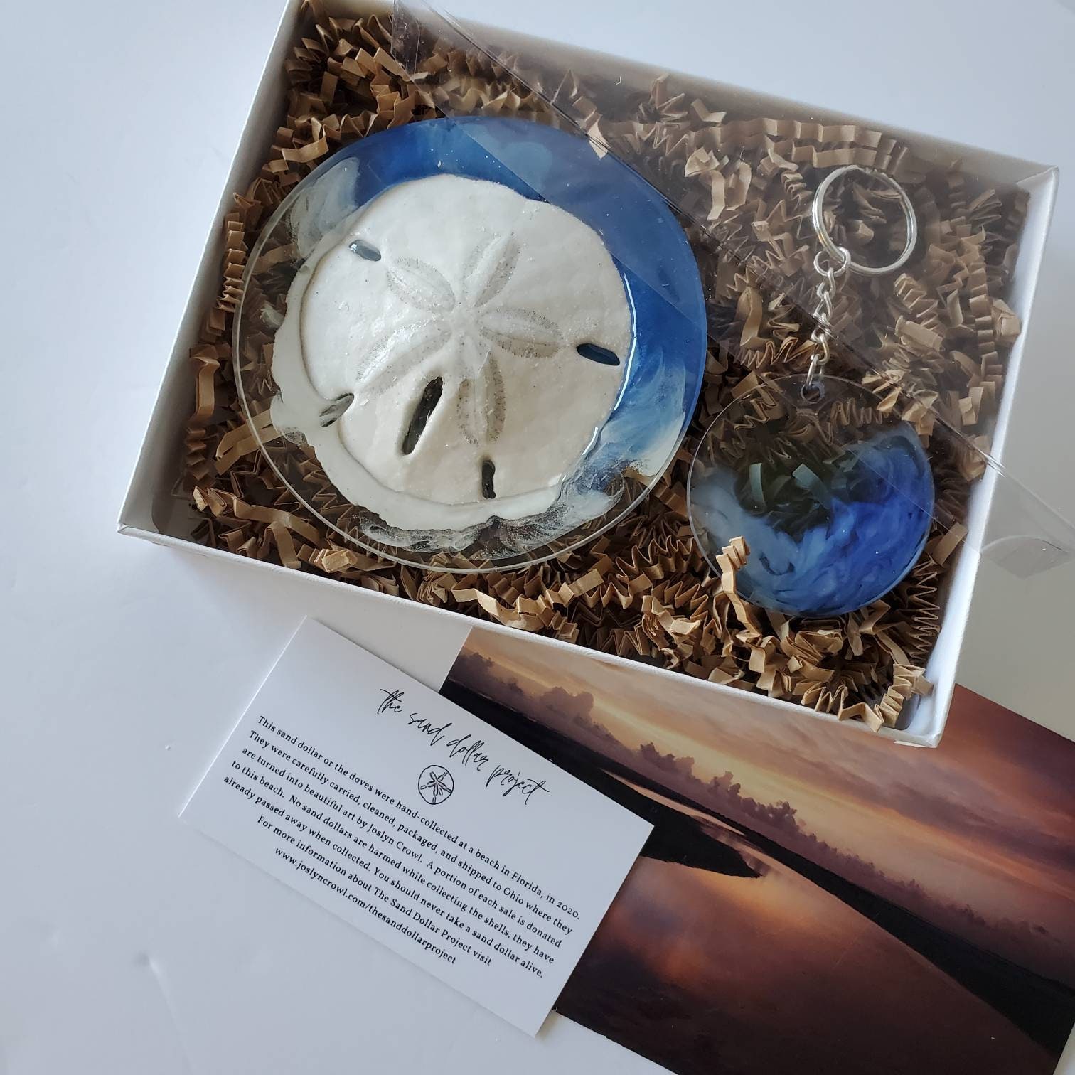 Real Sand Dollar 33 Resin Art Unique gift Sand Dollar Gift Etsy