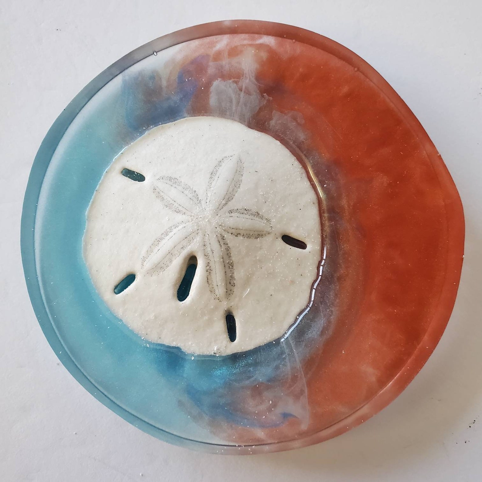 Sand Dollar Resin Art Gift Box Sand Dollar Art Sand Dollar | Etsy