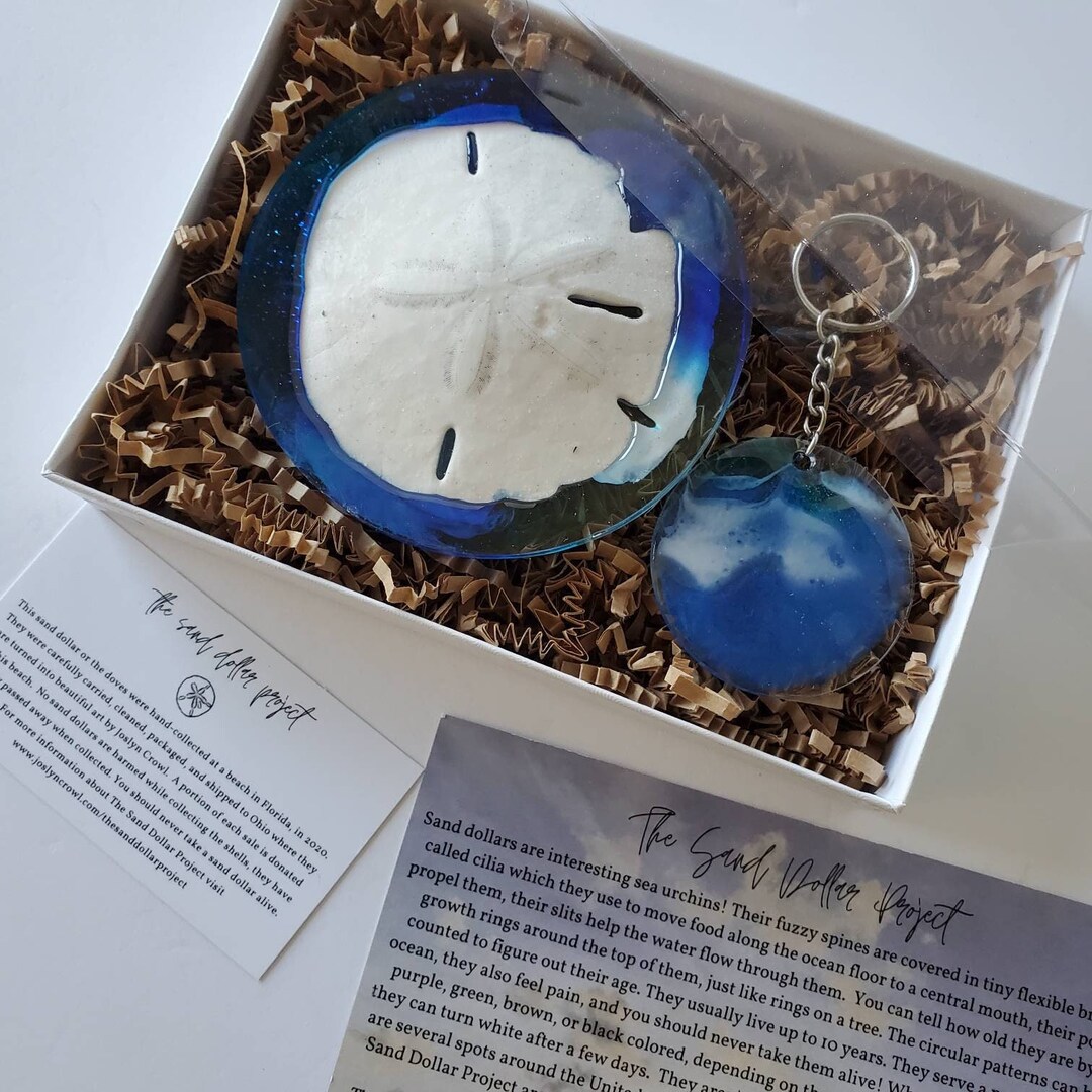 Sand Dollar Gift Set Nautical Gift Gift for Beach Lover Etsy