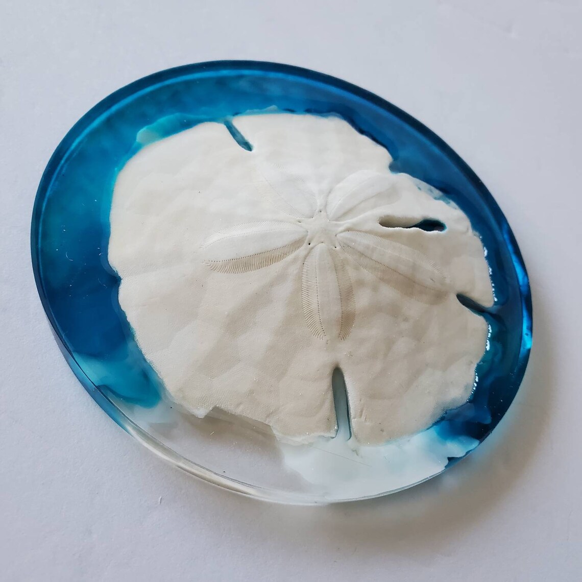 Sand Dollar Resin Art Gift Box 70 Sand dollar art Sand Etsy